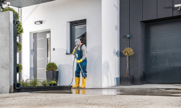 Best Soft Washing  in Clayton, NJ
